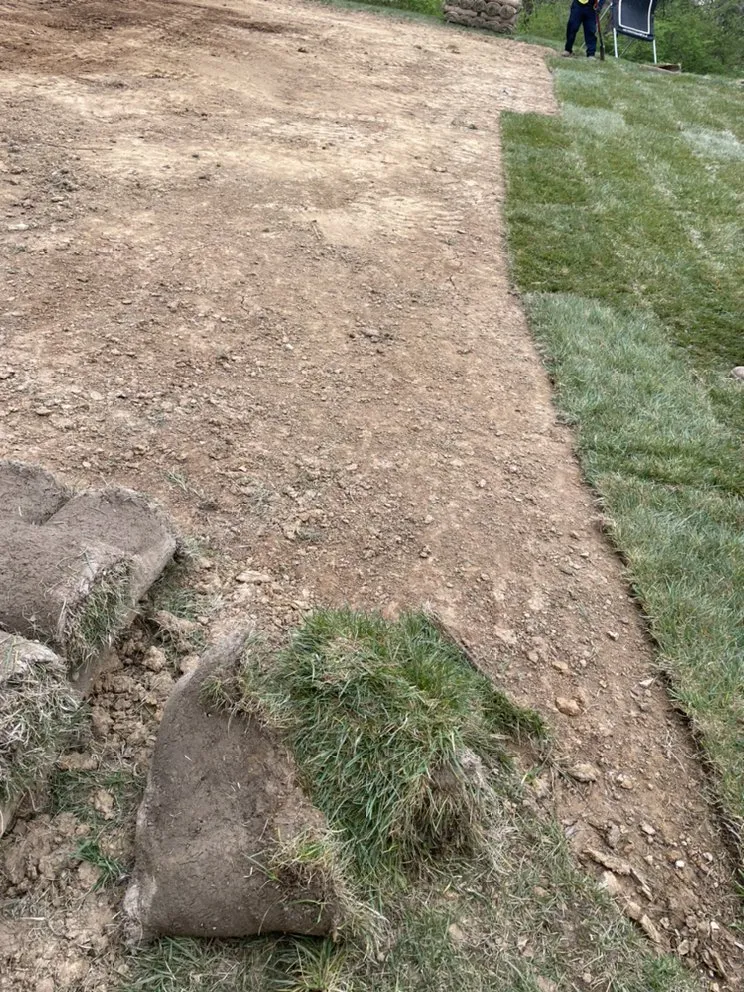 Top-rated yard cleanup service in Nashville, TN by C&E Landscaping