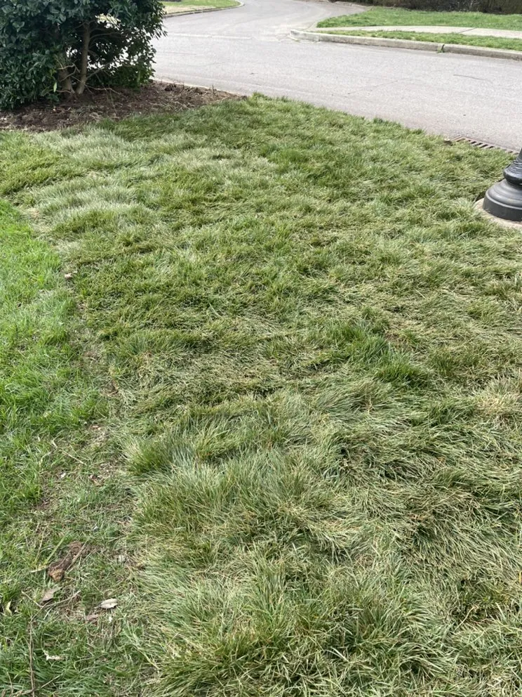 Custom outdoor landscaping in Nashville, TN by C&E Landscaping