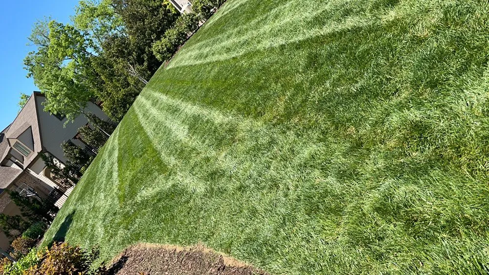 Top-rated yard cleanup service in Nashville, TN - C&E Landscaping