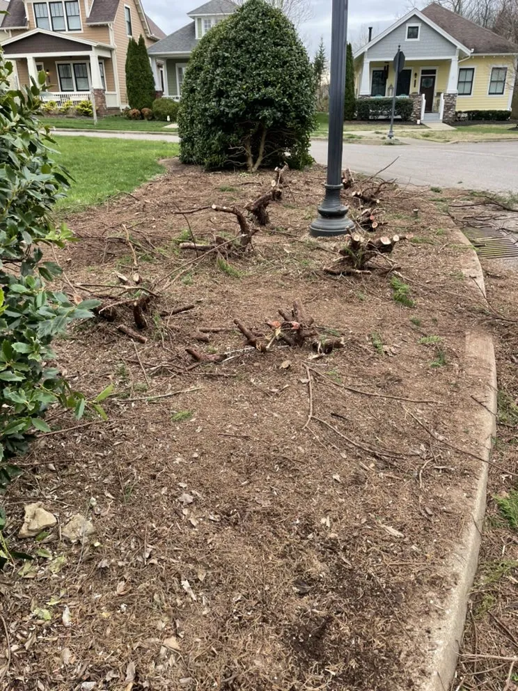 Affordable garden landscaping for homes in Nashville, TN by C&E Landscaping