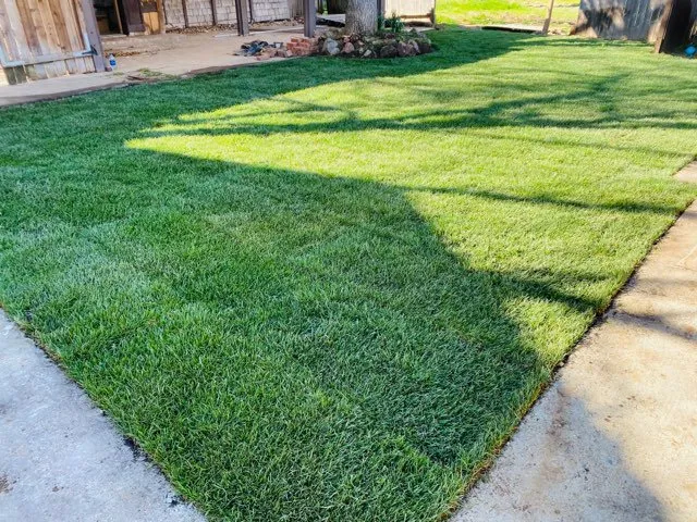 Reliable landscaping services for outdoor upgrades across Sacramento, CA - C&E Lawn Care Service