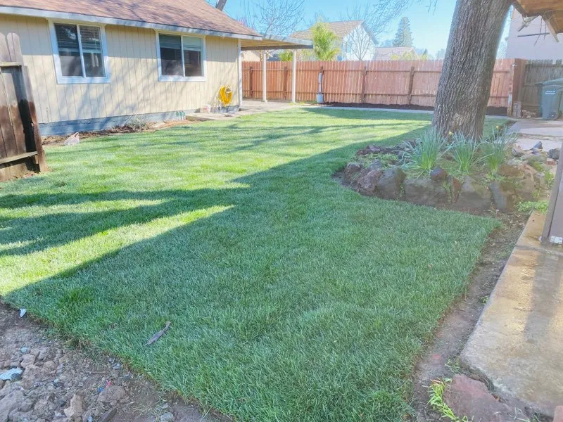 Professional landscape design in Sacramento, CA - C&E Lawn Care Service