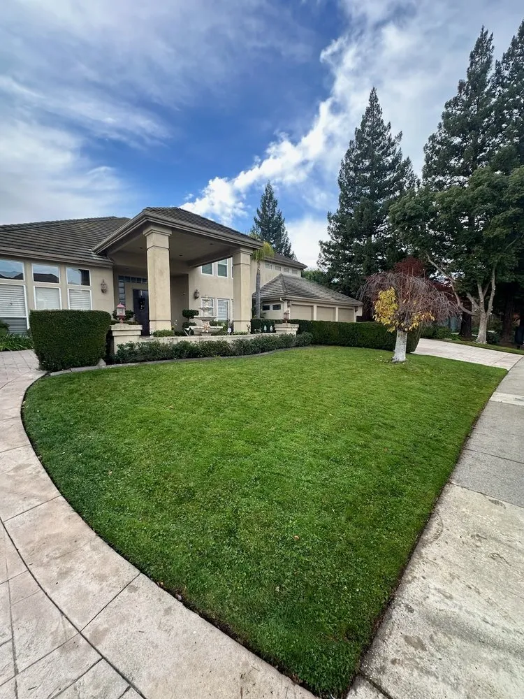 Expert landscape installation experts serving Sacramento, CA - C&E Lawn Care Service
