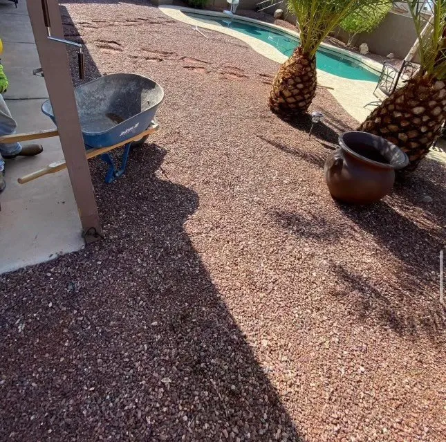 Top-rated yard cleanup service experts serving Sacramento, CA - C&E Lawn Care Service