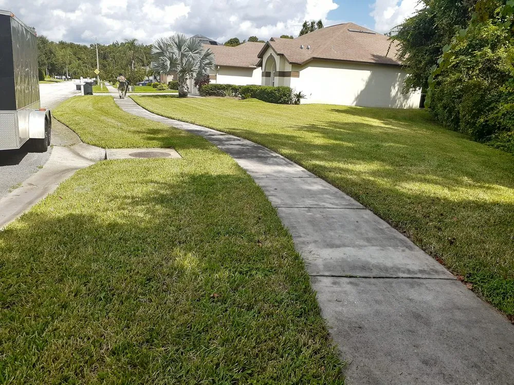 Local lawn care service for homes across Tampa, FL - C&E Lawn Pool Service