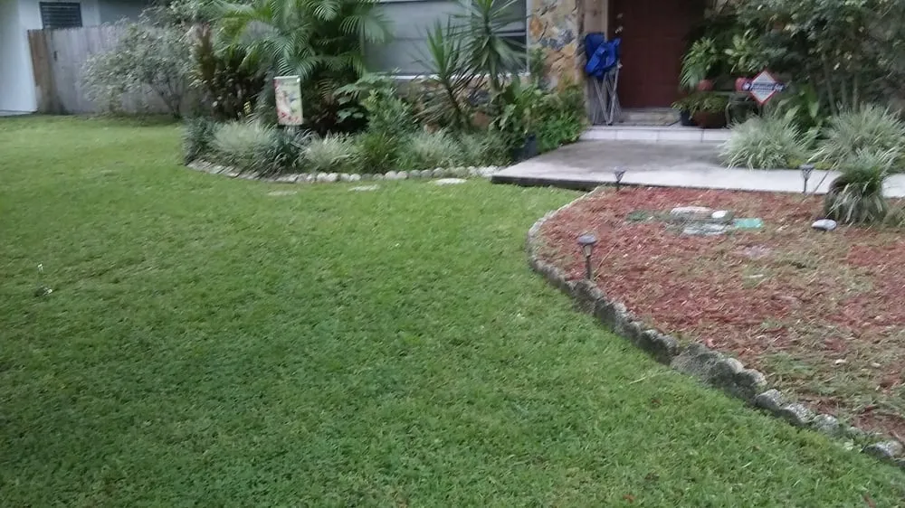 Affordable outdoor landscaping in Tampa, FL by C&E Lawn Pool Service