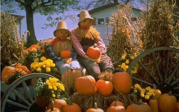 C&E Lawncare & Landscaping Logo