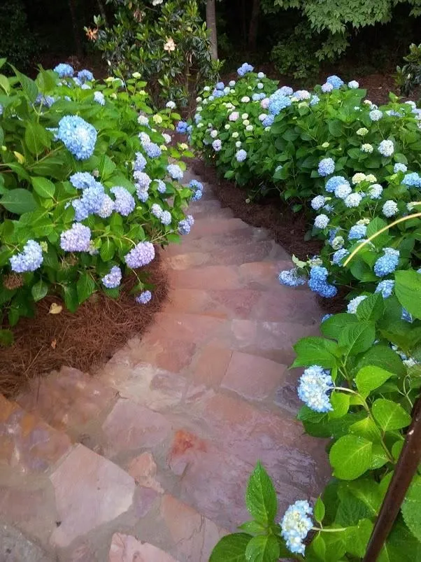 Trusted landscape design in Pelham, AL - CE Outdoors