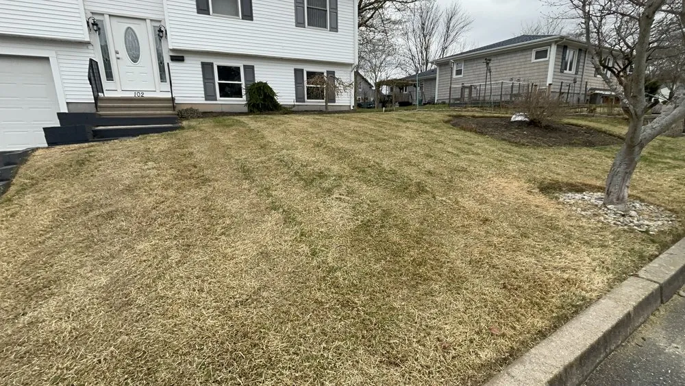 Trusted yard cleanup service in Cranston, RI - C&E Services