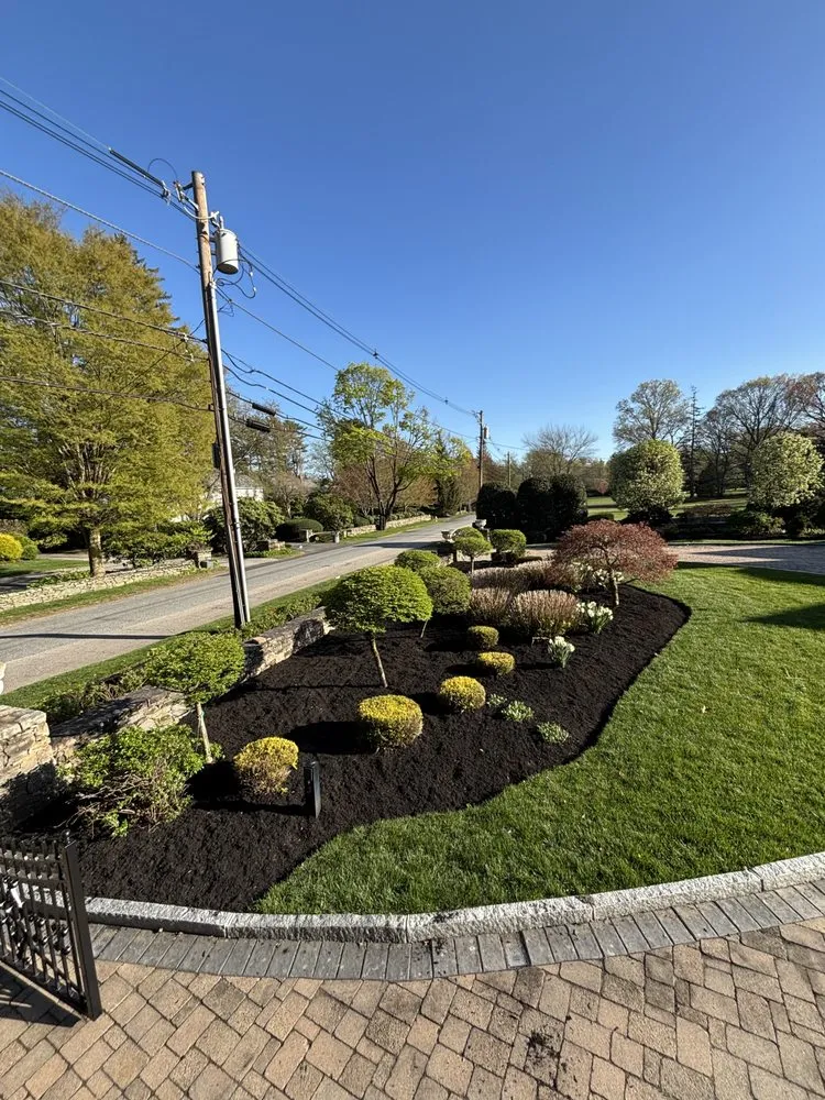 Trusted yard cleanup service experts serving Cranston, RI - C&E Services