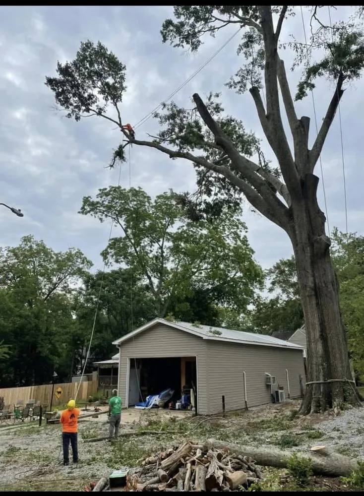 Professional yard cleanup service for beautiful yards across LaGrange, GA - C&E Tree Service