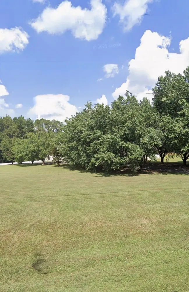 Custom outdoor landscaping for homes across LaGrange, GA - C&E Tree Service