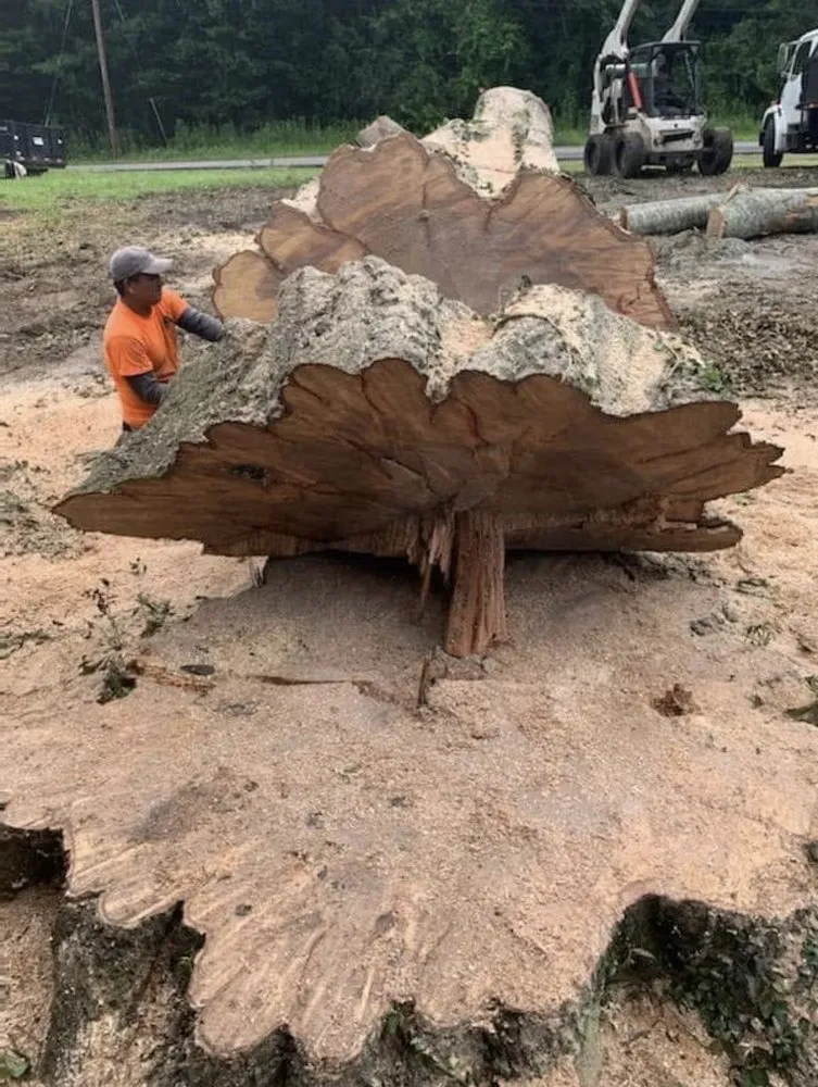 Expert lawn care service for residential properties across LaGrange, GA - C&E Tree Service