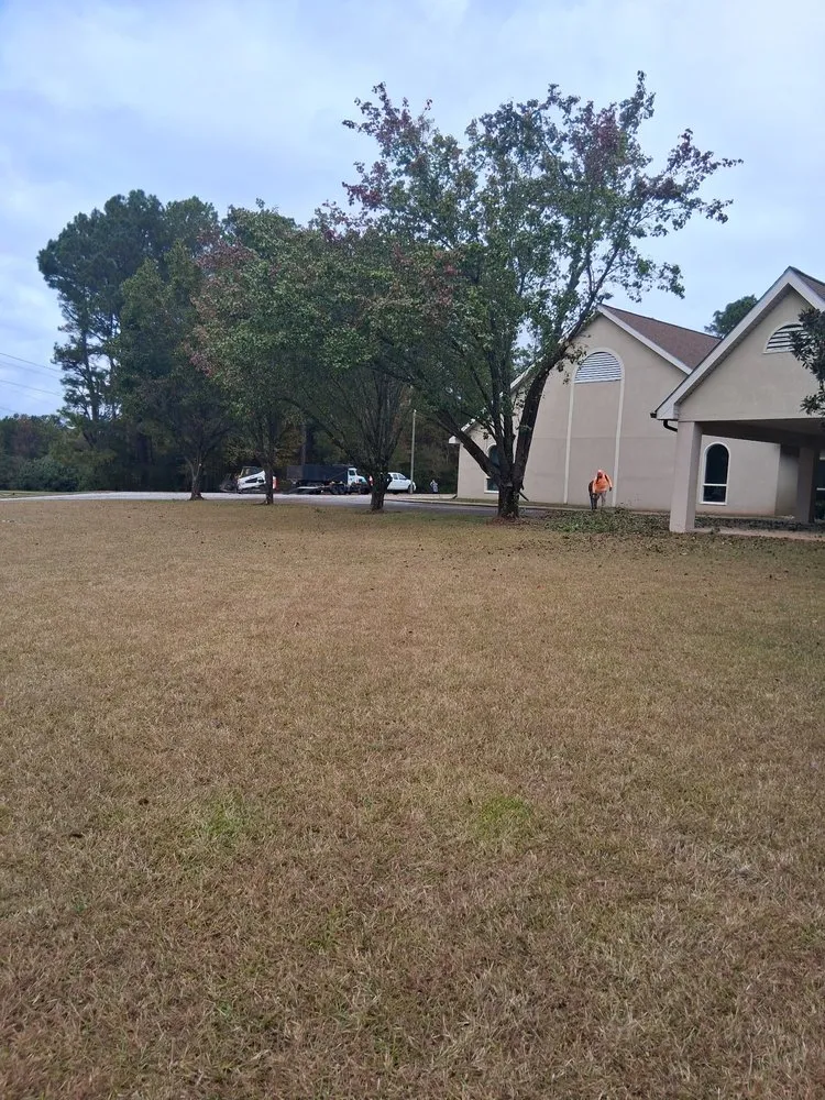 Local lawn care service in LaGrange, GA by C&E Tree Service