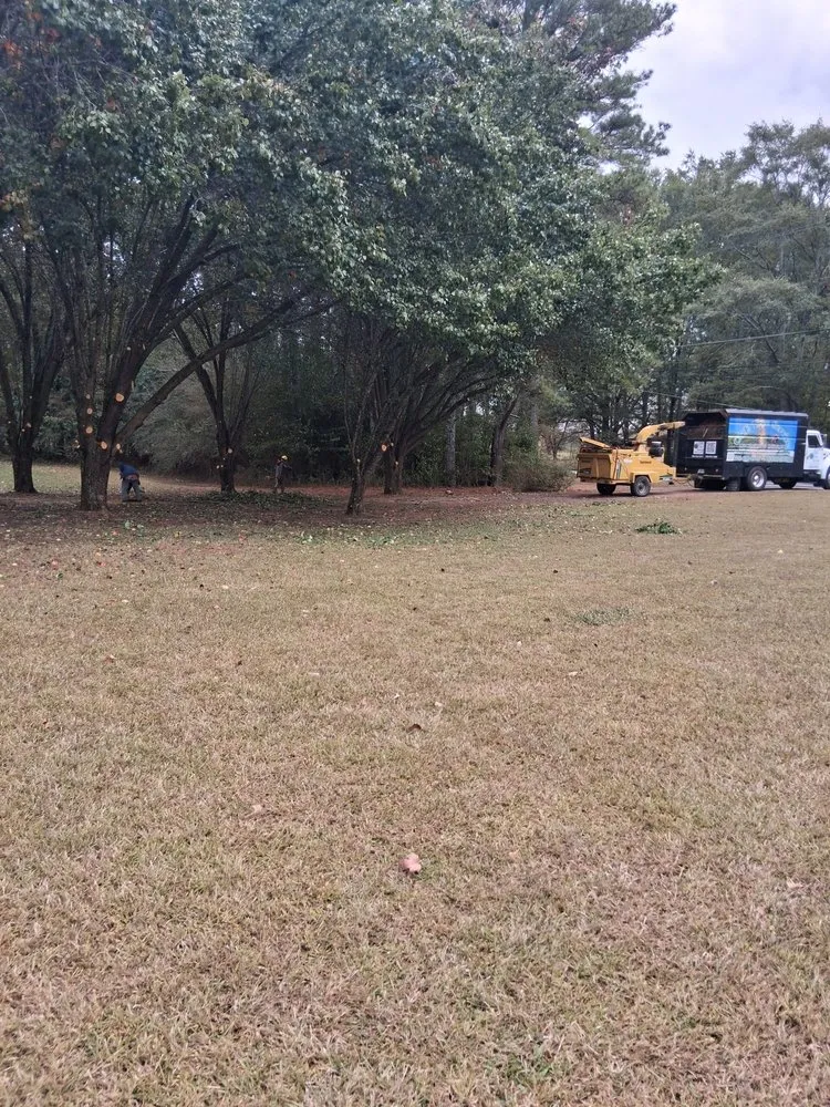 Top-rated outdoor landscaping for homes across LaGrange, GA - C&E Tree Service