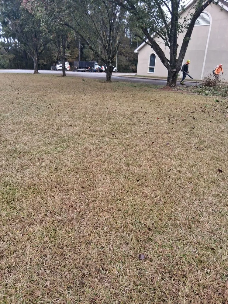 Trusted landscape installation experts serving LaGrange, GA - C&E Tree Service