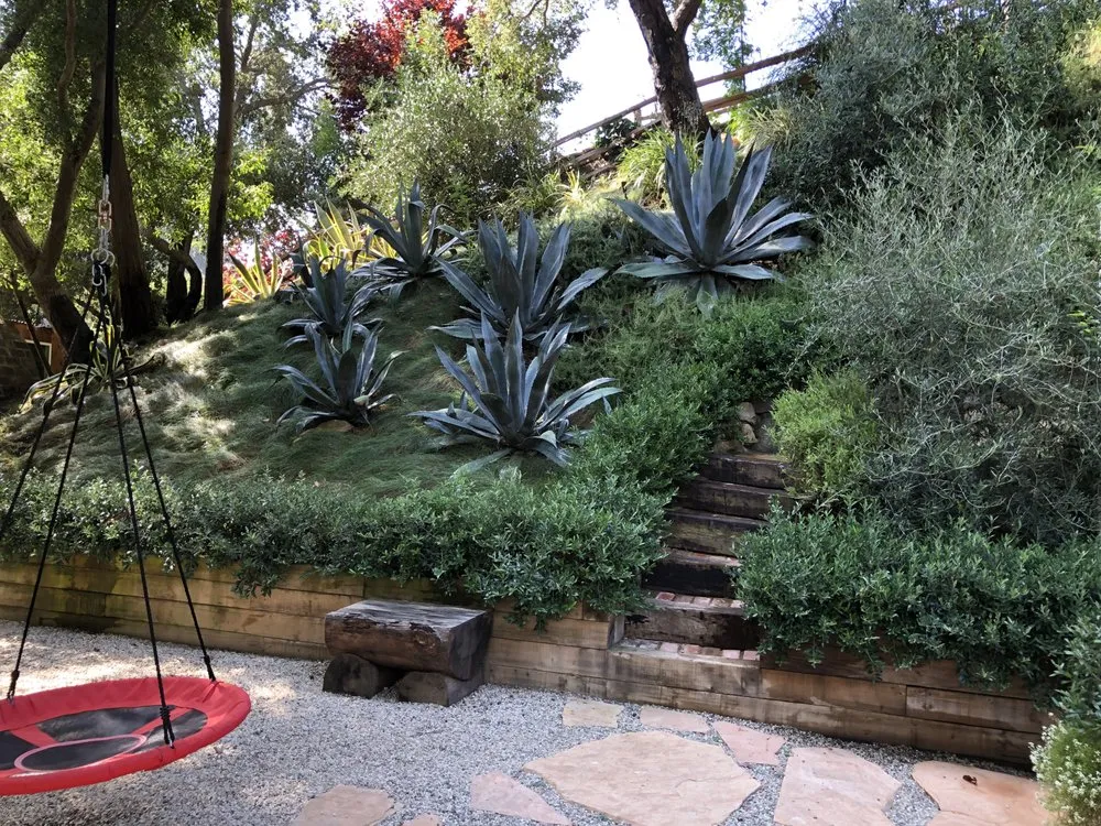 Professional lawn mowing service in Van Nuys, CA by CEA Landscapes