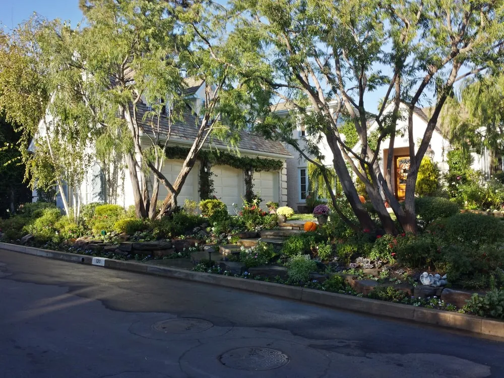 Trusted landscape design in Van Nuys, CA - CEA Landscapes