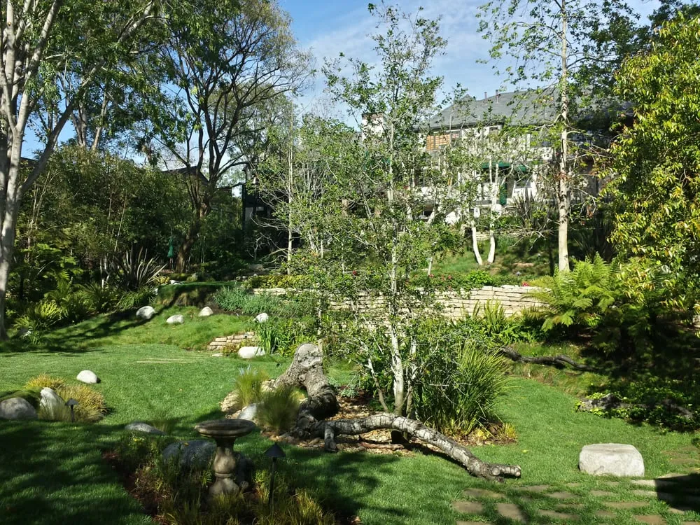 Reliable garden landscaping for beautiful yards in Van Nuys, CA by CEA Landscapes