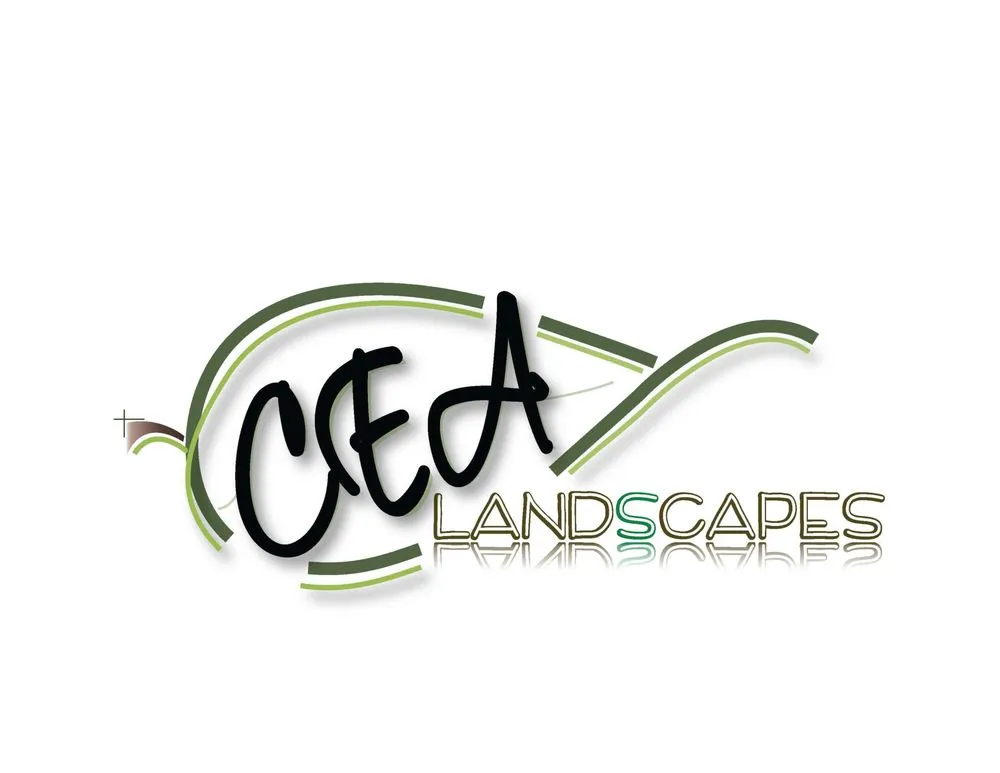 Local yard cleanup service in Van Nuys, CA by CEA Landscapes