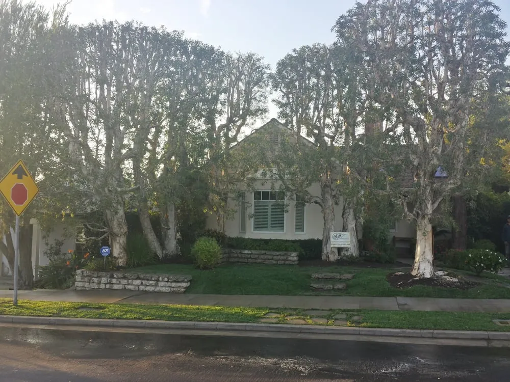 Reliable landscape installation in Van Nuys, CA - CEA Landscapes