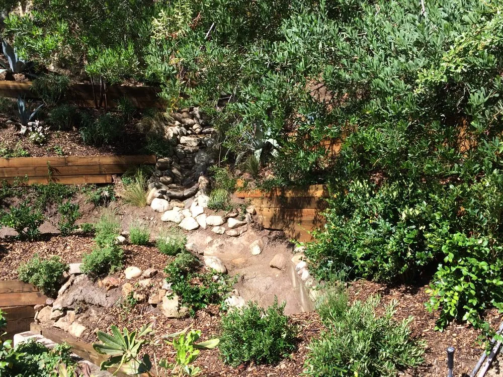 Top-rated landscape design with custom design in Van Nuys, CA by CEA Landscapes