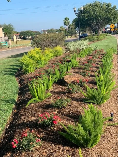 Top-rated residential landscaping in Houston, TX - CEA Landscaping And Maintenance