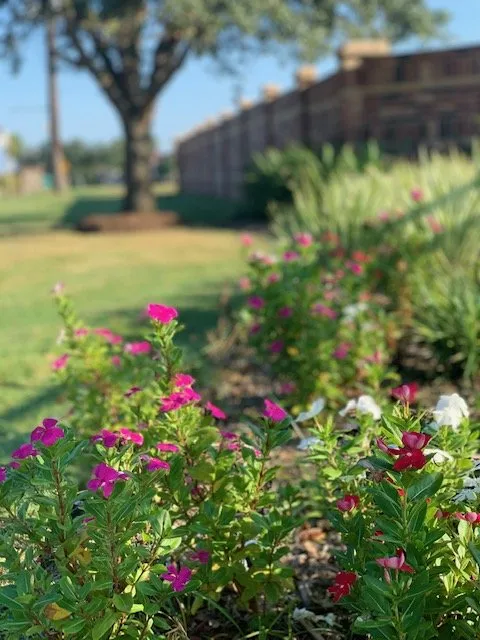 Reliable yard cleanup service in Houston, TX - CEA Landscaping And Maintenance