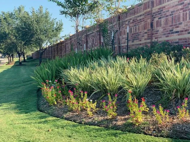 Local outdoor landscaping in Houston, TX - CEA Landscaping And Maintenance