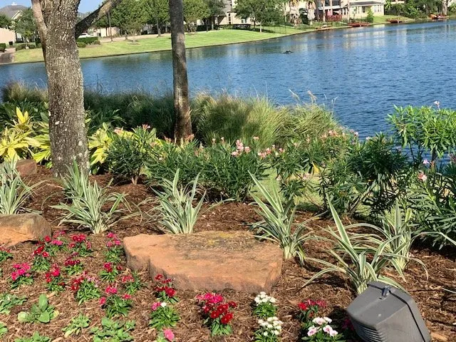 Custom yard maintenance for year-round maintenance in Houston, TX by CEA Landscaping And Maintenance