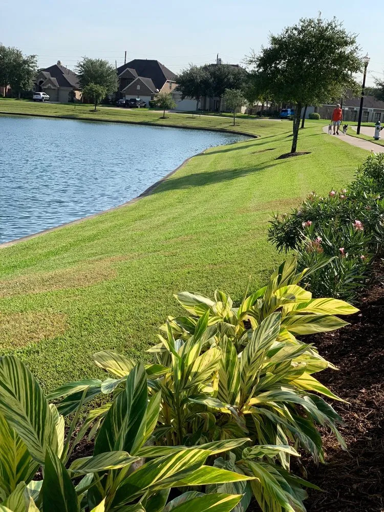 Reliable outdoor landscaping in Houston, TX - CEA Landscaping And Maintenance