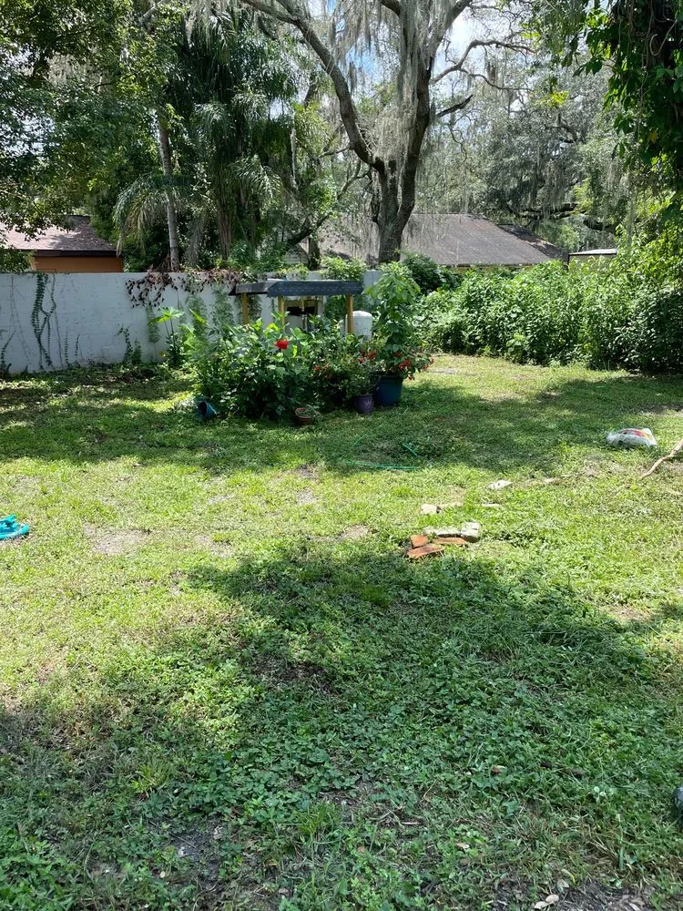 Professional yard maintenance for outdoor upgrades in Tampa, FL by CEASARS LOGISTICS