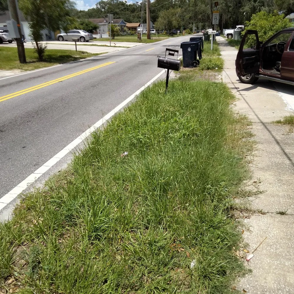 Custom residential landscaping in Tampa, FL - CEASARS LOGISTICS