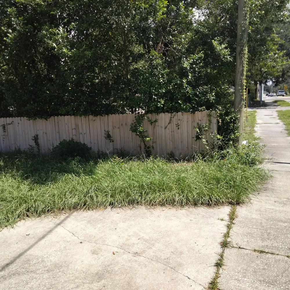 Local yard cleanup service experts serving Tampa, FL - CEASARS LOGISTICS