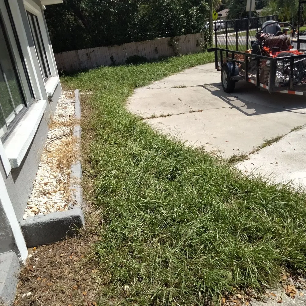 Reliable yard maintenance for year-round maintenance across Tampa, FL - CEASARS LOGISTICS