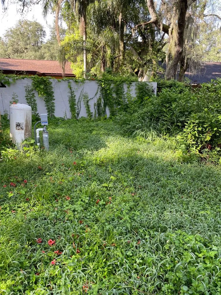 Custom lawn care service in Tampa, FL by CEASARS LOGISTICS