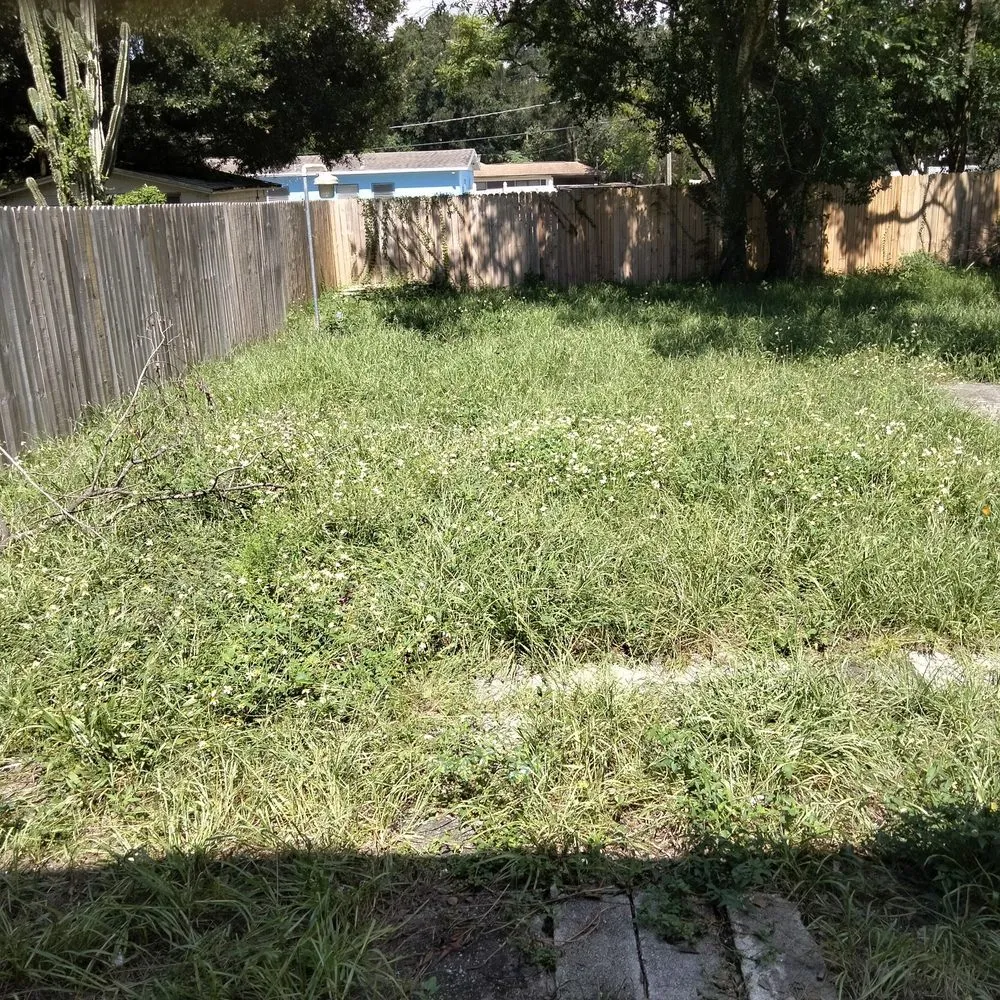 Affordable landscape installation in Tampa, FL by CEASARS LOGISTICS