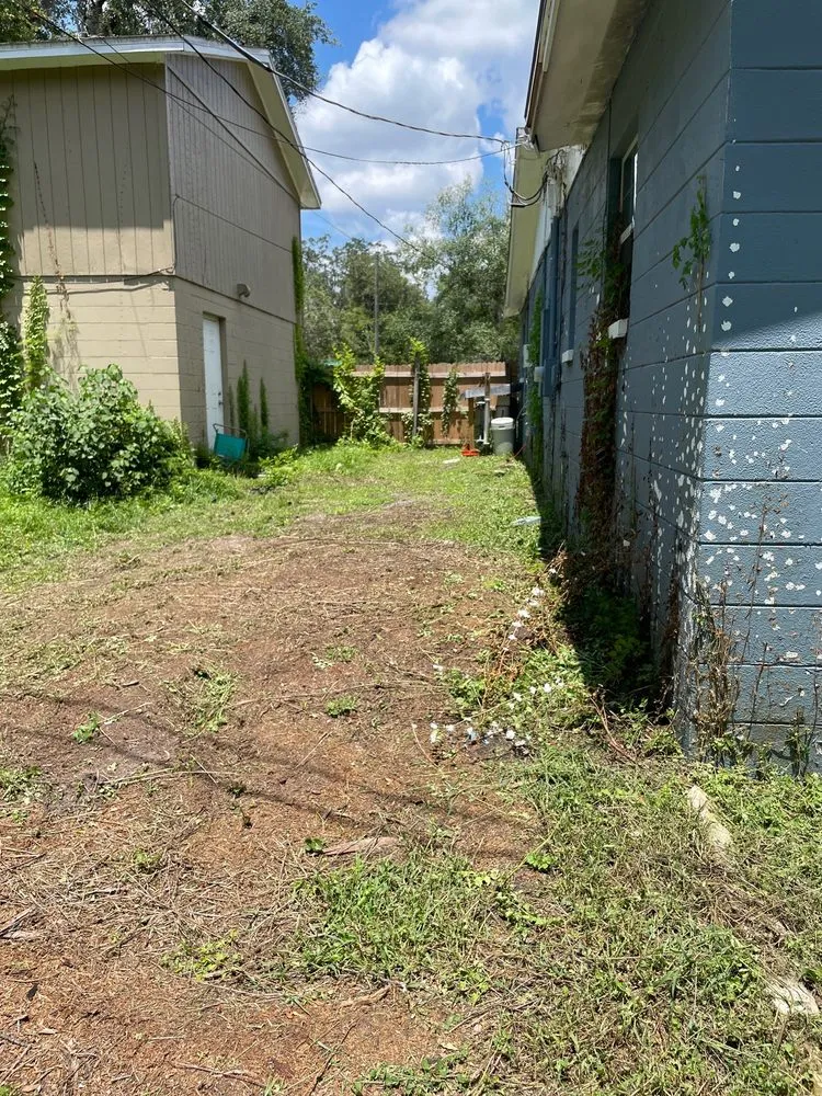 Trusted residential landscaping in Tampa, FL - CEASARS LOGISTICS