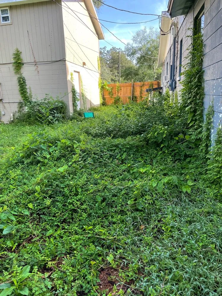 Trusted outdoor landscaping experts serving Tampa, FL - CEASARS LOGISTICS