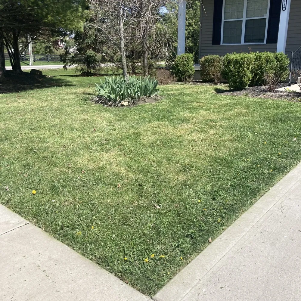 Affordable lawn care service in Reynoldsburg, OH - Ceaser’s Lawn Care