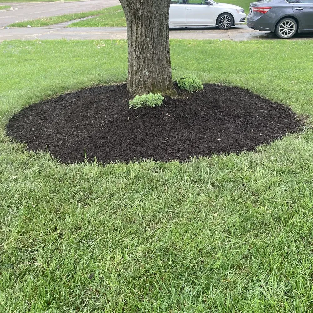 Affordable landscape installation experts serving Reynoldsburg, OH - Ceaser’s Lawn Care