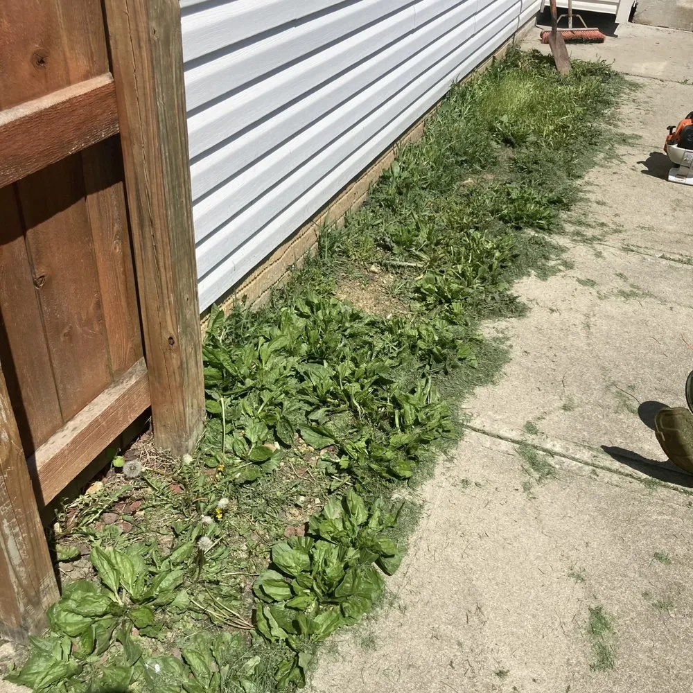 Top-rated lawn mowing service for homes across Reynoldsburg, OH - Ceaser’s Lawn Care