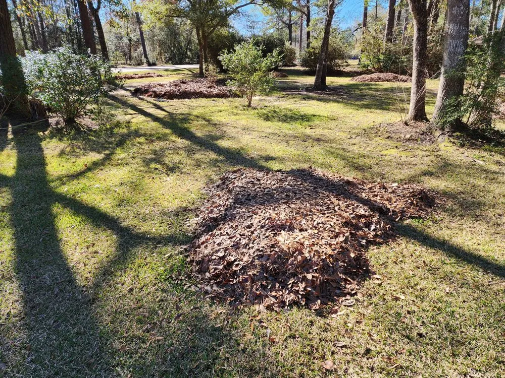 Affordable yard cleanup service in Picayune, MS by Ceaser's Total Lawncare
