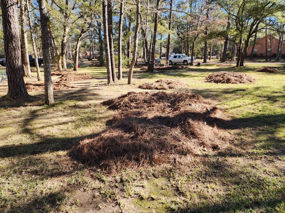 Professional garden landscaping for outdoor upgrades in Picayune, MS by Ceaser's Total Lawncare