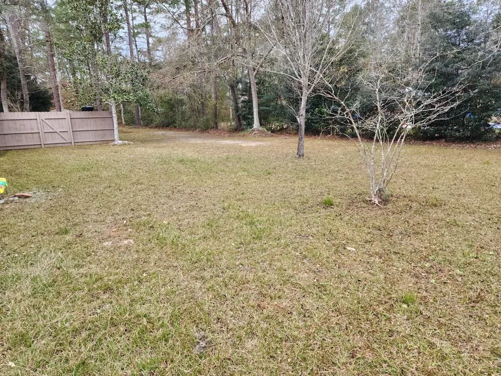 Reliable yard cleanup service for residential properties in Picayune, MS by Ceaser's Total Lawncare