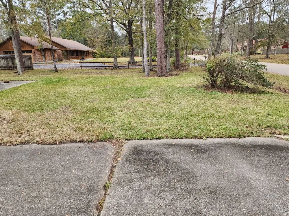 Custom lawn care service in Picayune, MS - Ceaser's Total Lawncare