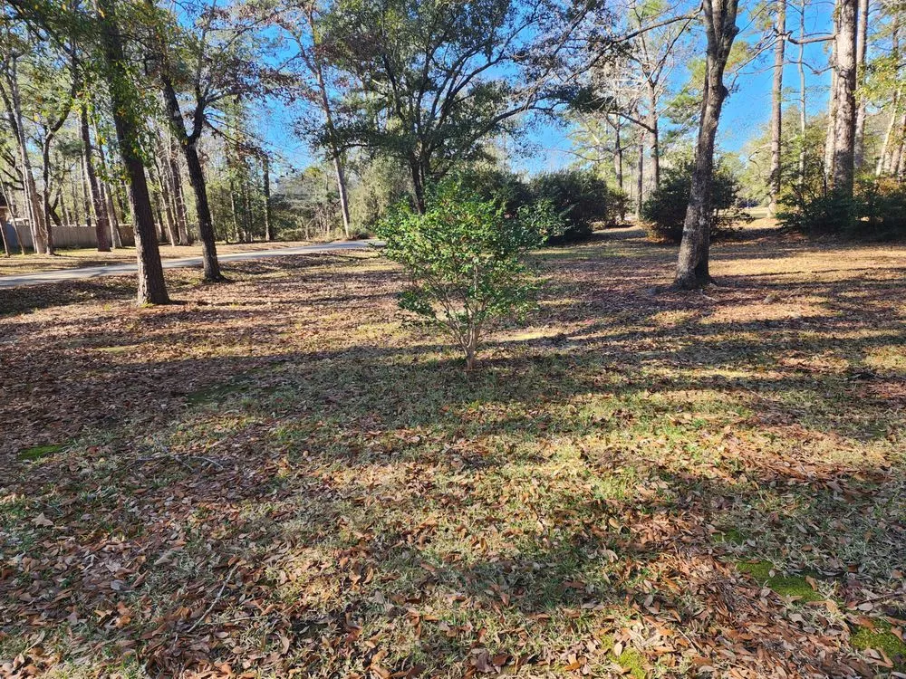 Expert garden landscaping for beautiful yards across Picayune, MS - Ceaser's Total Lawncare