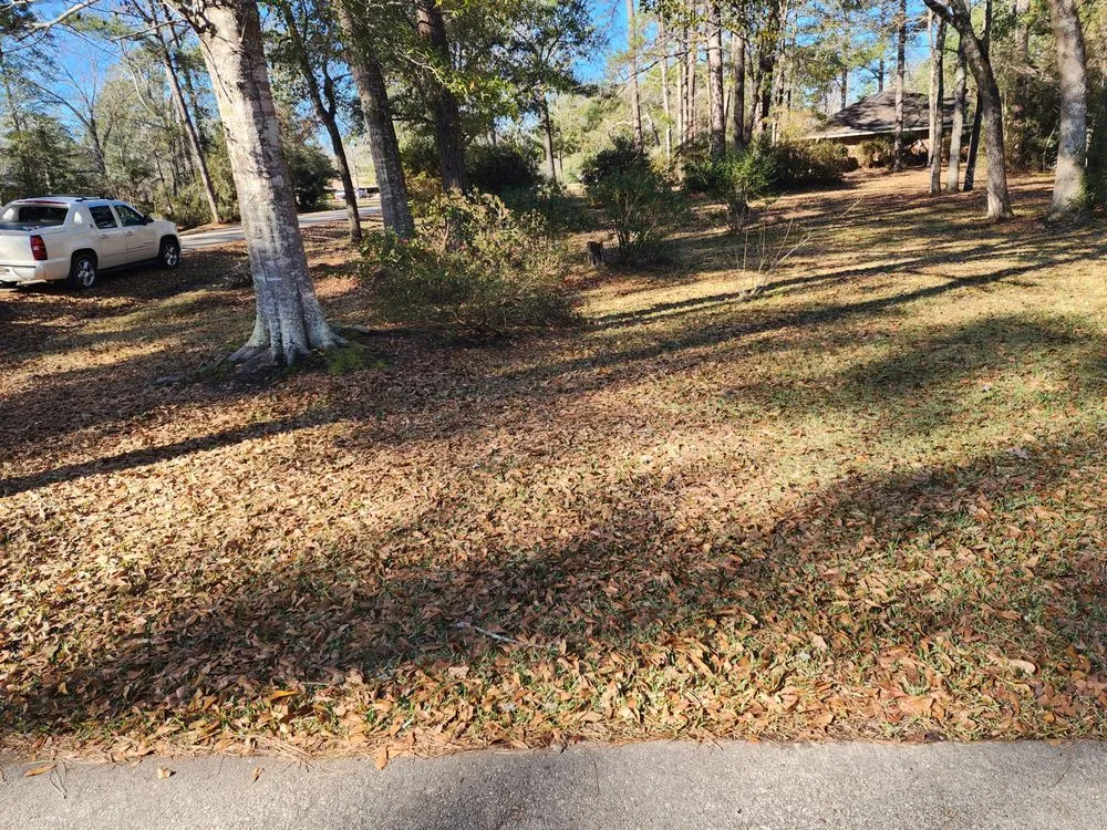 Affordable outdoor landscaping in Picayune, MS by Ceaser's Total Lawncare