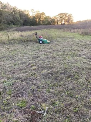 Cecil Brush Cutting