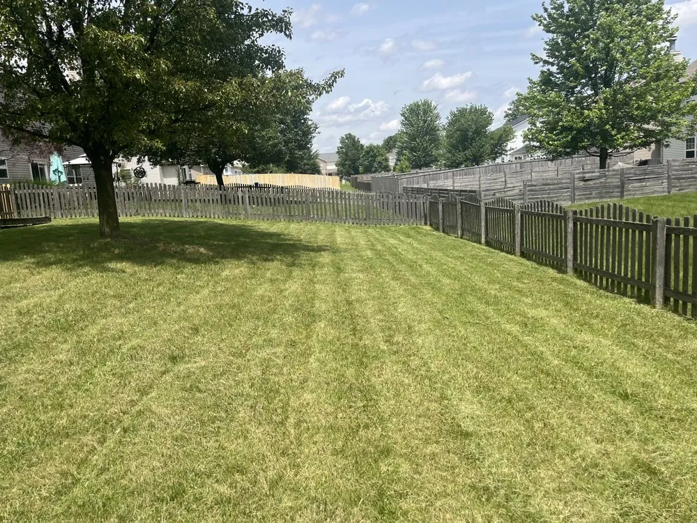 Affordable garden landscaping for year-round maintenance in Indianapolis, IN by Cecilia Scapes